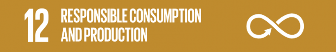 Responsible Consumption and Production